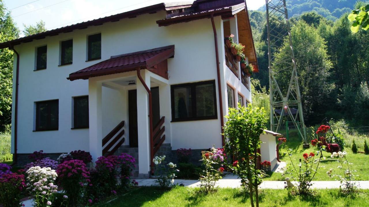 Cabana Nisipoasa Rîu de Mori Exterior foto